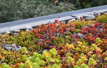 the cost of Heapham green roof installation