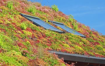 Heapham living roof systems